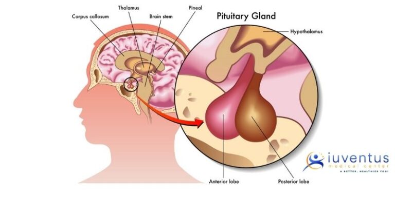 Benefits Of Hormone Growth Therapy in Las Vegas and Henderson, NV