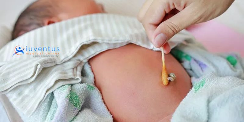 Potential of Umbilical Cord
