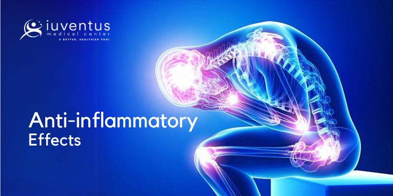 Anti-inflammatory Effect